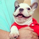 那年的小虎牙