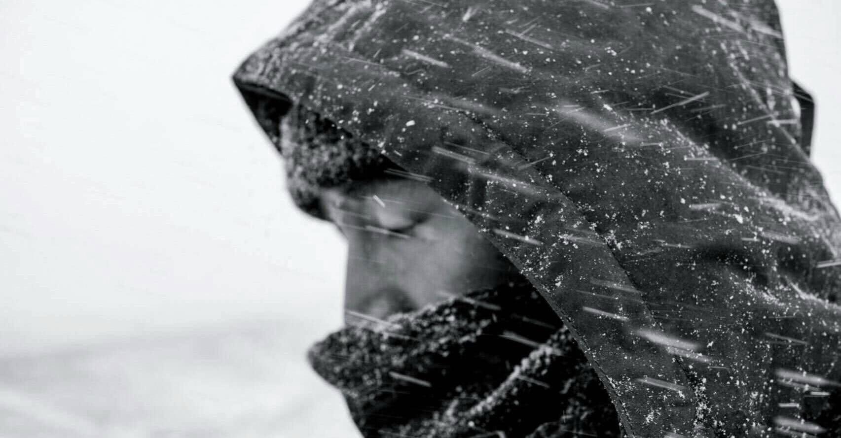 胡歌近照曝光,好似雪地里行走的孤狼却被它抢镜?网友