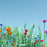 销货娱乐小分队