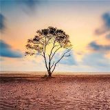 背着背包走天下