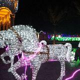 龙腾四海的娱乐