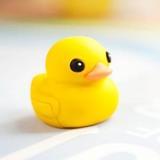 娱乐万晓生