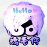 hello鸡毛仔