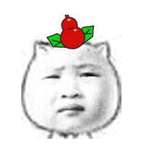 我是敖凯的小号