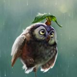 杰克船长呼噜噜