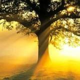 莺燕向露谈公考