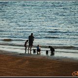 谈天说地车大炮