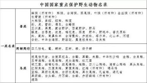 动物名录 国家二级重点保护野生动物