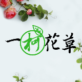 一柯花草