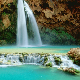 壮壮娱乐小分队