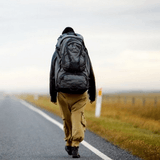 职场小菜学升职