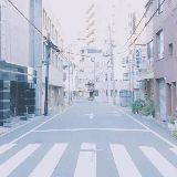 兔子不爱胡萝卜