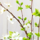 小林小影影视剪辑