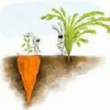 靠脸吃饭的咨询师