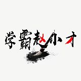 学霸赵小才