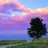 妞妞娱乐小分队