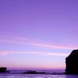 言不由衷怪我说娱乐