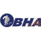 北京市冰球运动协会