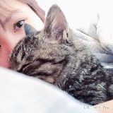 贫民窟养猫少女官方号