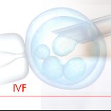 我是爱宝来慧慧