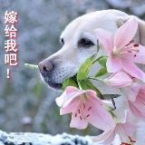 有趣的那一时刻