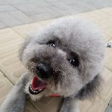 喵喵带你看别墅