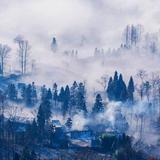 一带一路境外游