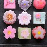 灰灰的美食达人