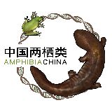 中国两栖类