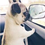 爱在你别去之后