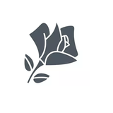 每天不一样的阅读