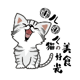 团儿团儿猫的美好食光