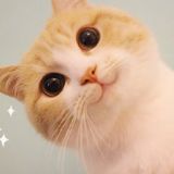 跟着小飞讲历史