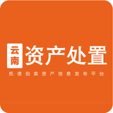 云南资产处置