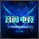 音阁电竞