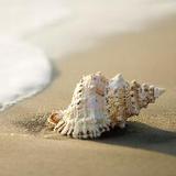 小贾来说那些事