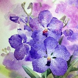 读书和旅行笔记