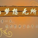把心托给流浪