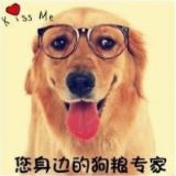 我是狗粮的专家