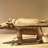 人类出行方式研究社