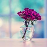 视觉让我看到悔意