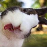 小东笑谈生活事