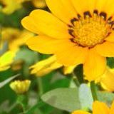 吕和娱乐小分队