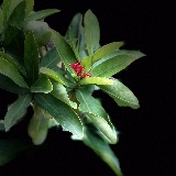 人文艺术经典精读