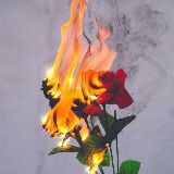 我要带你去月亮飞翔