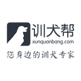 训犬帮