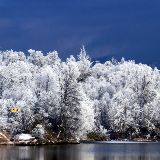 莉莉生活小分队