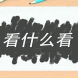 综艺看什么看