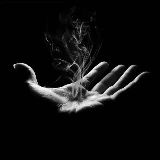 热心李杨