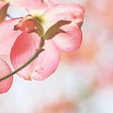 邹昊空娱乐小分队